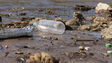 How Water Pollution Affects Animals Plastic Bottle Pollution And The