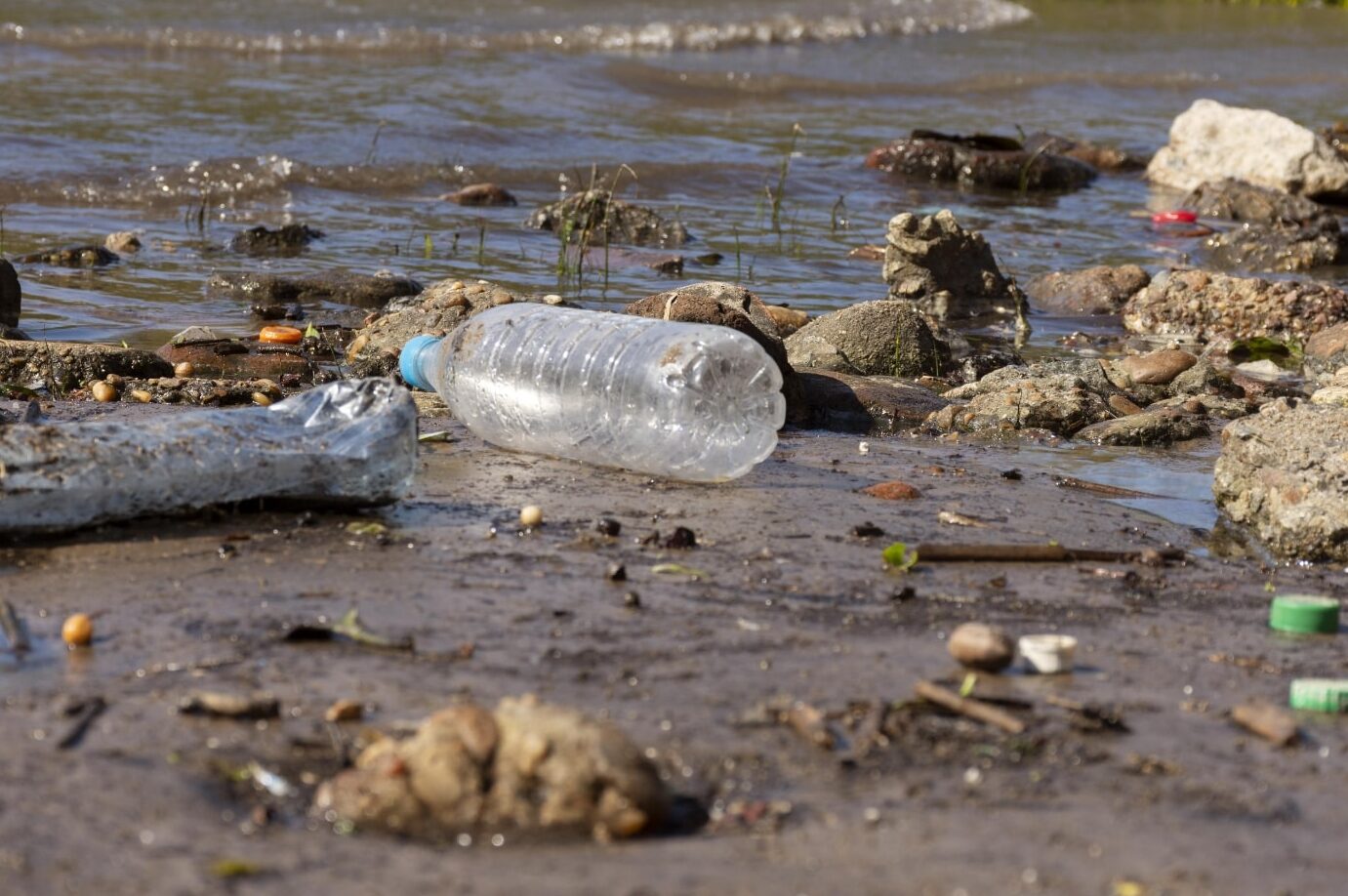 How Water Pollution Affects Animals Plastic Bottle Pollution And The