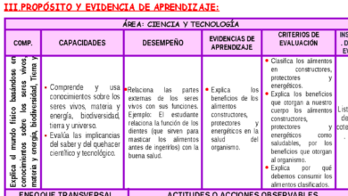 Clasificación de Alimentos según su Función - Sesión de Aprendizaje N ...
