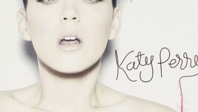 Fireworks Katy Perry Firework: Amazon.de: CDs & Vinyl