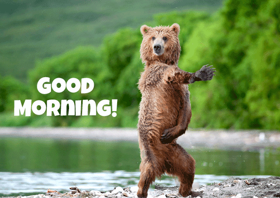 Good Morning Funny Gif Images - Infoupdate.org