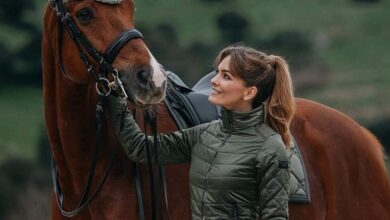 The ultimate guide to buying a horse – Artofit