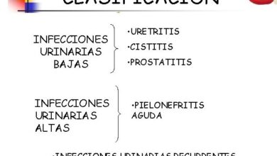 INFECCIONES URINARIAS PROFILAXIS ITU Las infecciones del tracto