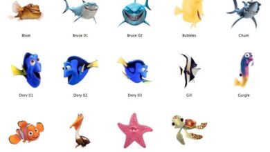 What Types Of Fish Are In Finding Nemo Plus Names Of
